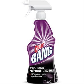 {{photo.Alt || photo.Description || 'Чистящее средство 750 мл CILLIT BANG &quot;Удаление черной плесени&quot;, для ванной и кухни, распылитель, 3032923'}}