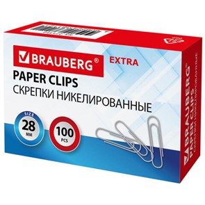 {{photo.Alt || photo.Description || 'Скрепки EXTRA BRAUBERG 28 мм никелированные 100 штук, 271312'}}