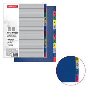 {{photo.Alt || photo.Description || 'Разделитель пластиковый BRAUBERG, А4, 12 листов, цифровой 1-12, оглавление, цветной, РОССИЯ, 225610'}}