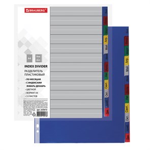 {{photo.Alt || photo.Description || 'Разделитель пластиковый BRAUBERG, А4, 12 листов, Январь-Декабрь, оглавление, цветной, РОССИЯ, 225613'}}