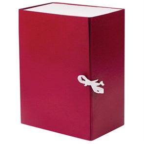 {{photo.Alt || photo.Description || 'Короб архивный А4 (240х330 мм), 150 мм, 2 завязки, бумвинил, до 1400 листов, бордовый, BRAUBERG, 122806'}}