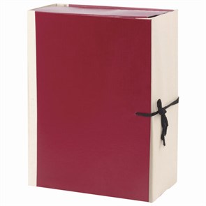 {{photo.Alt || photo.Description || 'Папка для бумаг архивная А4 (225х310 мм), 120 мм, 4 завязки, бумвинил, корешок - коленкор, 123201'}}