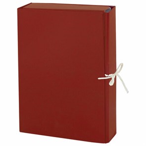 {{photo.Alt || photo.Description || 'Папка для бумаг архивная А4 (225х310 мм), 85 мм, 2 завязки, бумвинил, до 700 листов, 120298'}}