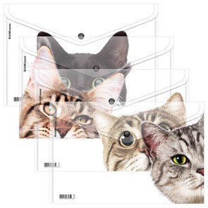 {{photo.Alt || photo.Description || 'Папка-конверт на кнопке пластиковая ERICH KRAUSE &quot;Hiding Cats&quot;, A4, ассорти, 61155'}}