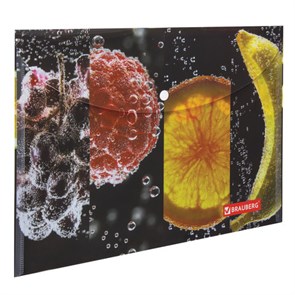 {{photo.Alt || photo.Description || 'Папка-конверт с кнопкой BRAUBERG &quot;FRESH ZONE&quot;, А4, 160 мкм, до 100 листов, цветная печать, 228034'}}