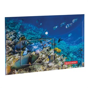 {{photo.Alt || photo.Description || 'Папка-конверт с кнопкой BRAUBERG &quot;SEA WORLD&quot;, А4, 160 мкм, до 100 листов, цветная печать, 228041'}}