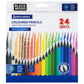 {{photo.Alt || photo.Description || 'Карандаши цветные BRAUBERG, 24 цвета, шестигранные, грифель 3,3 мм, черное дерево, 181858'}}