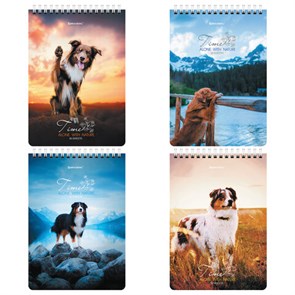 {{photo.Alt || photo.Description || 'Блокнот А5 (146х206 мм), 80 л., гребень, картон, клетка, BRAUBERG, &quot;Грациозные собаки&quot;, 114376'}}