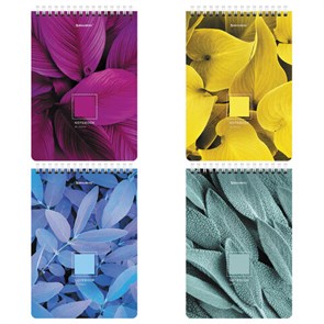 {{photo.Alt || photo.Description || 'Блокнот А5 (146х206 мм), 80 л., гребень, картон, клетка, BRAUBERG, &quot;Яркие листья&quot;, 114372'}}