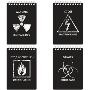 {{photo.Alt || photo.Description || 'Блокнот МАЛЫЙ ФОРМАТ А6 105х148 мм, 80 л., гребень, пластик с печатью, клетка, BRAUBERG, &quot;Danger&quot;, 125380'}}