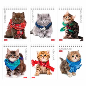 {{photo.Alt || photo.Description || 'Блокнот МАЛЫЙ ФОРМАТ А6 110х145 мм, 40 л., гребень, лакированная обложка, клетка, HATBER, &quot;Милые Котята&quot;, 004667, 40Б6B1гр'}}