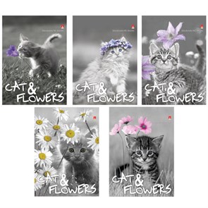 {{photo.Alt || photo.Description || 'Блокнот МАЛЫЙ ФОРМАТ А6, 40 л., гребень, ламинированный картон, клетка, Альт, &quot;Котята&quot;, (5 видов), 3-40-028'}}