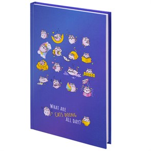 {{photo.Alt || photo.Description || 'Блокнот А5 (134х206 мм), 80 л., твёрдый, клетка, BRAUBERG KIDS, &quot;Радужные котики&quot;, 114417'}}