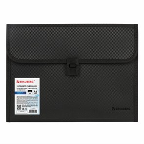 {{photo.Alt || photo.Description || 'Папка для бумаг и документов с замком и 13 отделениями BRAUBERG &quot;HIT&quot;, А4, пластик, черная, 229572'}}