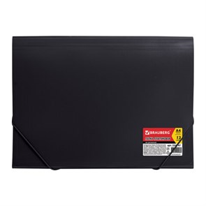 {{photo.Alt || photo.Description || 'Папка на резинках BRAUBERG &quot;Business&quot;, А4, 13 отделений, пластиковый индекс, черная, 0,5 мм, 224147'}}