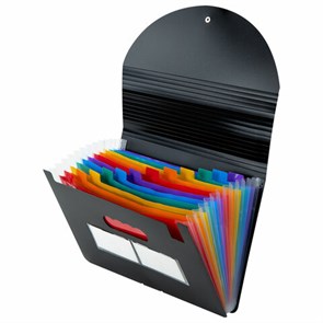 {{photo.Alt || photo.Description || 'Папка-органайзер для бумаг и документов на резинке, 13 отделений, BRAUBERG DOCS, А4, черная, 271152'}}