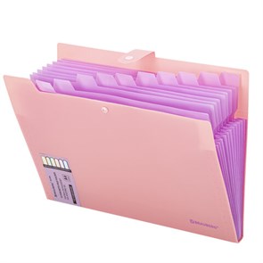 {{photo.Alt || photo.Description || 'Папка-органайзер на кнопке 12 отделений, BRAUBERG &quot;Extra&quot;, А4, персиковая с лавандовым, 271931'}}