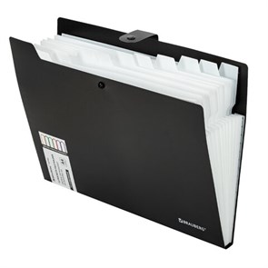 {{photo.Alt || photo.Description || 'Папка-органайзер на кнопке 12 отделений, BRAUBERG &quot;Extra&quot;, А4, черная с белым, 271930'}}