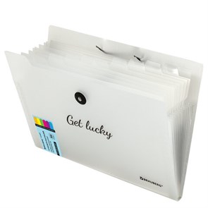 {{photo.Alt || photo.Description || 'Папка-органайзер на резинке 12 отделений, BRAUBERG &quot;Glassy&quot;, А4, прозрачная, 271929'}}