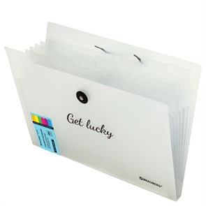 {{photo.Alt || photo.Description || 'Папка-органайзер на резинке 8 отделений, BRAUBERG &quot;Glassy&quot;, А4, прозрачная, 271928'}}