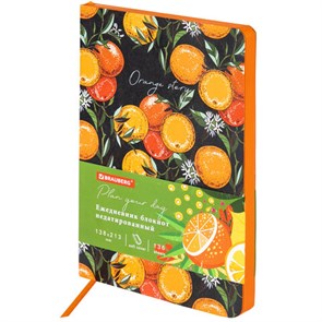 {{photo.Alt || photo.Description || 'Ежедневник недатированный А5 (138х213 мм), BRAUBERG VISTA, под кожу, гибкий, 136 л., &quot;Orange story&quot;, 112018'}}