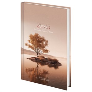 {{photo.Alt || photo.Description || 'Ежедневник датированный 2025 145х215 мм, А5, STAFF, ламинированная обложка, &quot;Relaxation&quot;, 116036'}}