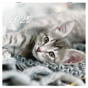 {{photo.Alt || photo.Description || 'Календарь настенный перекидной на 2025 г., BRAUBERG, 12 листов, 29х29 см, &quot;Милые котики&quot;, 116164'}}