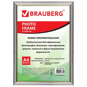 {{photo.Alt || photo.Description || 'Рамка 21х30 см, пластик, багет 16 мм, BRAUBERG &quot;HIT5&quot;, серебро с двойной позолотой, стекло, 391076'}}