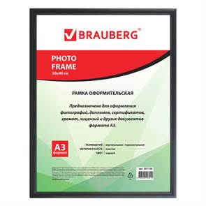 {{photo.Alt || photo.Description || 'Рамка 30х40 см, пластик, багет 12 мм, BRAUBERG HIT2, черная, стекло, 391138'}}