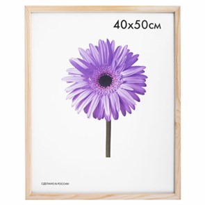 {{photo.Alt || photo.Description || 'Рамка премиум 40х50 см, дерево, багет 18 мм, &quot;Sasha&quot;, светло-коричневая, 0011-16-0000'}}