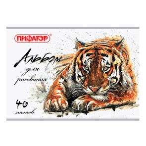 {{photo.Alt || photo.Description || 'Альбом для рисования А4 40 л., скоба, обложка офсет, ПИФАГОР, 205х290 мм, &quot;Дикая природа&quot; (1 вид), 105086'}}