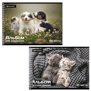 {{photo.Alt || photo.Description || 'Альбом для рисования А4, 24 листа, гребень, обложка картон, BRAUBERG, 195х285 мм, &quot;Питомцы&quot; (2 вида), 106696'}}