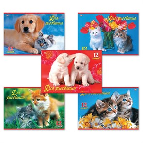 {{photo.Alt || photo.Description || 'Альбом для рисования, А4, 12 листов, скоба, обложка офсет, HATBER ECO, 205х290 мм, &quot;Верные друзья&quot;, 032835, 12А4C'}}