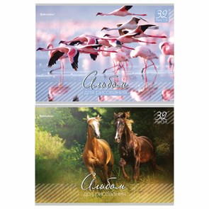 {{photo.Alt || photo.Description || 'Альбом для рисования, А4, 32 листа, скоба, обложка картон, BRAUBERG, 200х283 мм, &quot;Живая природа&quot; (2 вида), 103683'}}