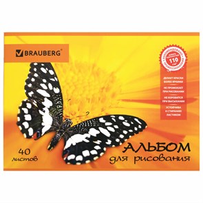 {{photo.Alt || photo.Description || 'Альбом для рисования, А4, 40 листов, скоба, выборочный лак, BRAUBERG, 202х285 мм, &quot;Летняя феерия&quot; (1 вид), 103434'}}