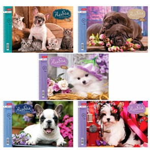 {{photo.Alt || photo.Description || 'Альбом для рисования, А4, 40 листов, спираль, обложка картон, HATBER, 205х300 мм, &quot;Любимцы&quot; (5 видов), 004142, 40А4Всп'}}