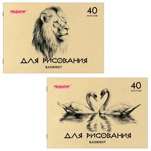 {{photo.Alt || photo.Description || 'Блокнот для рисования, А4, 40 л., обложка офсет, ПИФАГОР, 200х285 мм, &quot;Лебеди/Лев&quot;, 126962'}}