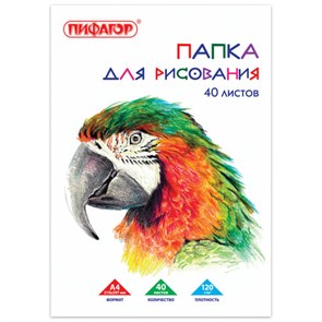 {{photo.Alt || photo.Description || 'Папка для рисования, А4, 40 л., 120 г/м2, ПИФАГОР, 210х297 мм, &quot;Попугай&quot;, 129222'}}