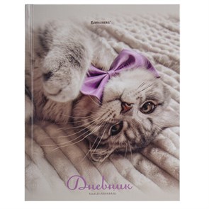 {{photo.Alt || photo.Description || 'Дневник 5-11 класс 48 л., твердый, BRAUBERG, глянцевая ламинация, с подсказом, &quot;Котик&quot;, 107188'}}