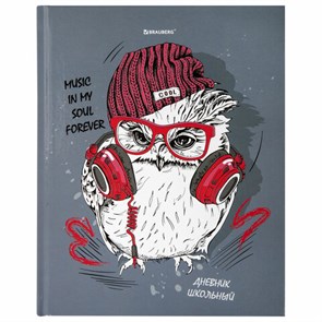 {{photo.Alt || photo.Description || 'Дневник 1-11 класс 40 л., твердый, BRAUBERG, глянцевая ламинация, &quot;Cool Owl&quot;, 106371'}}