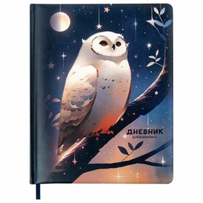 {{photo.Alt || photo.Description || 'Дневник 1-11 класс 48 л., кожзам (твердая с поролоном), печать, наклейки, BRAUBERG, &quot;Сова&quot;, 106947'}}