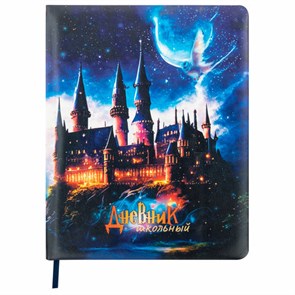 {{photo.Alt || photo.Description || 'Дневник 1-11 класс 48 л., кожзам (твердая с поролоном), печать, цветной блок, BRAUBERG, &quot;Замок&quot;, 106953'}}