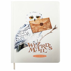 {{photo.Alt || photo.Description || 'Дневник 1-11 класс 48 л., кожзам (твердая с поролоном), печать, цветной блок, BRAUBERG, &quot;Сова&quot;, 106952'}}