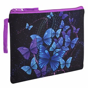 {{photo.Alt || photo.Description || 'Папка для тетрадей BRAUBERG А5, 1 отделение, полиэстер, на молнии, с ручкой, &quot;Fly Aways&quot;, 271499'}}