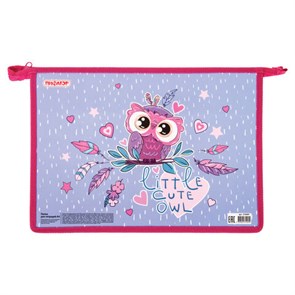 {{photo.Alt || photo.Description || 'Папка для тетрадей ПИФАГОР А4, 1 отделение, картон/пластик, молния сверху, Owlet, 270097'}}