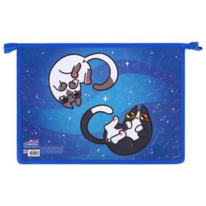 {{photo.Alt || photo.Description || 'Папка для тетрадей ЮНЛАНДИЯ А4, 1 отделение, картон/пластик, конгрев, на молнии, &quot;Ying Yang&quot;, 272132'}}