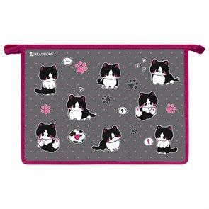 {{photo.Alt || photo.Description || 'Папка для труда на молнии BRAUBERG А4, 2 отделения, органайзер, &quot;Cat patches&quot;, 272211'}}