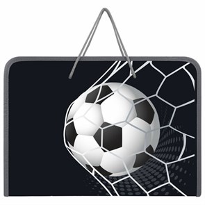 {{photo.Alt || photo.Description || 'Папка для труда на молнии с ручками ПИФАГОР А4, 1 отделение, пластик, органайзер, &quot;Ball kick&quot;, 272229'}}