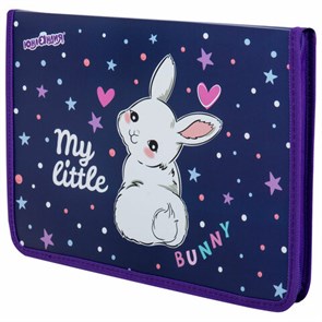 {{photo.Alt || photo.Description || 'Папка для труда на молнии ЮНЛАНДИЯ А4, 1 отделение, откидная планка, органайзер, &quot;Fluffy tail&quot;, 272220'}}