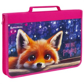 {{photo.Alt || photo.Description || 'Папка на молнии BRAUBERG А4 с ручкой, с органайзером, 1 отделение, &quot;Cute fox&quot;, 272217'}}